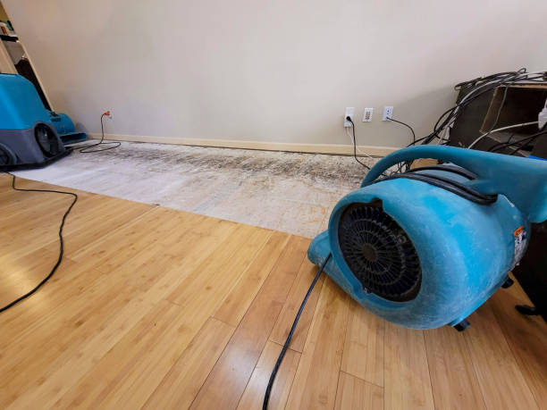 Professional Emergency Water Damage technician working in Mineral, WA
